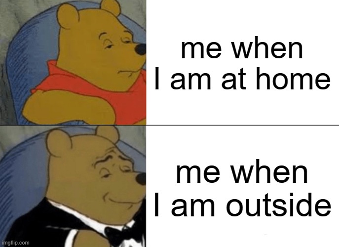 Tuxedo Winnie The Pooh | me when I am at home; me when I am outside | image tagged in memes,tuxedo winnie the pooh | made w/ Imgflip meme maker