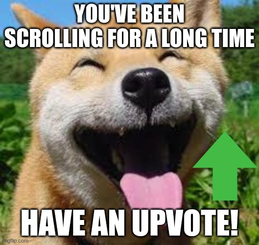 Happy Doge | YOU'VE BEEN SCROLLING FOR A LONG TIME; HAVE AN UPVOTE! | image tagged in happy doge | made w/ Imgflip meme maker