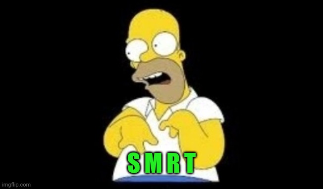 Disabled Homer | S M R T | image tagged in disabled homer | made w/ Imgflip meme maker