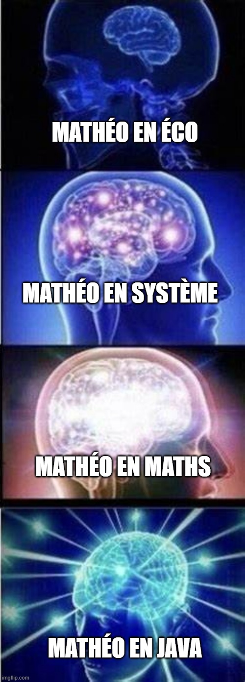 MATHÉO EN ÉCO; MATHÉO EN SYSTÈME; MATHÉO EN MATHS; MATHÉO EN JAVA | made w/ Imgflip meme maker