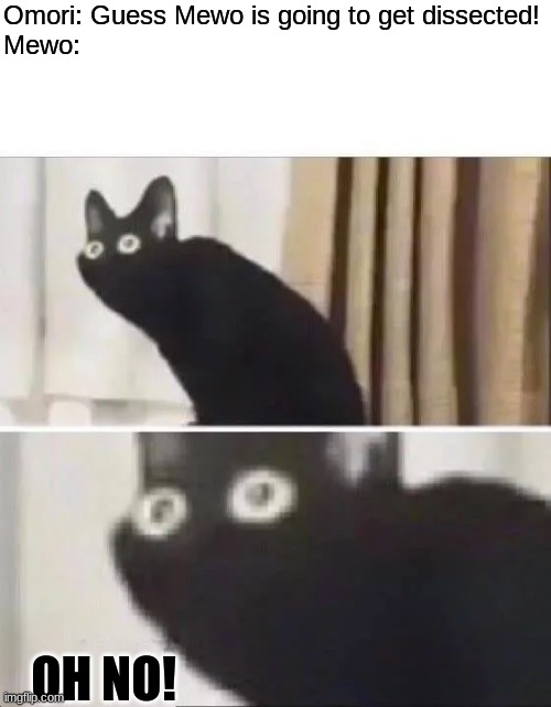 w h y | Omori: Guess Mewo is going to get dissected!
Mewo:; OH NO! | image tagged in oh no black cat | made w/ Imgflip meme maker