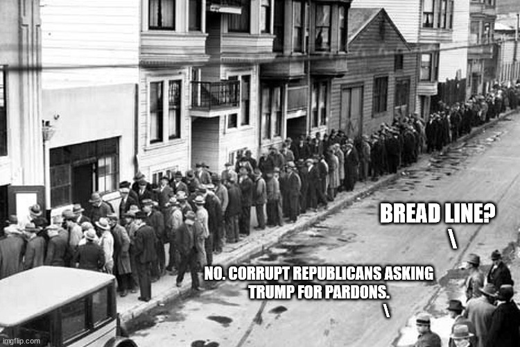 Sorry. He's no longer the president, and won't ever be again. | BREAD LINE?
       \; NO. CORRUPT REPUBLICANS ASKING TRUMP FOR PARDONS.
                                              \ | image tagged in never again trump,corrupt gop | made w/ Imgflip meme maker