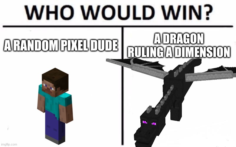 steve everytime tho | A RANDOM PIXEL DUDE; A DRAGON RULING A DIMENSION | image tagged in minecraft steve,enderdragon | made w/ Imgflip meme maker