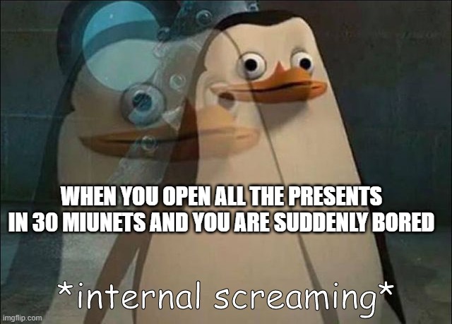 Private Internal Screaming | WHEN YOU OPEN ALL THE PRESENTS IN 30 MIUNETS AND YOU ARE SUDDENLY BORED | image tagged in private internal screaming | made w/ Imgflip meme maker