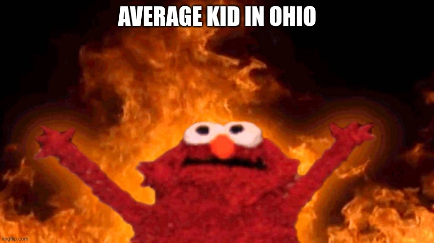 elmo fire | AVERAGE KID IN OHIO | image tagged in elmo fire | made w/ Imgflip meme maker