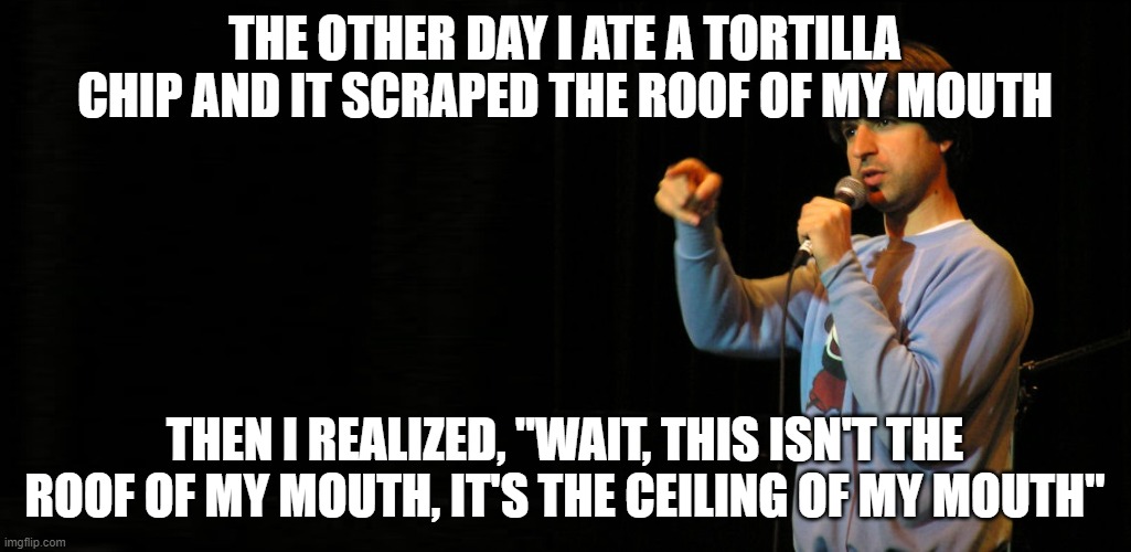 DEMETRI MARTIN | THE OTHER DAY I ATE A TORTILLA CHIP AND IT SCRAPED THE ROOF OF MY MOUTH; THEN I REALIZED, "WAIT, THIS ISN'T THE ROOF OF MY MOUTH, IT'S THE CEILING OF MY MOUTH" | image tagged in demetri martin | made w/ Imgflip meme maker