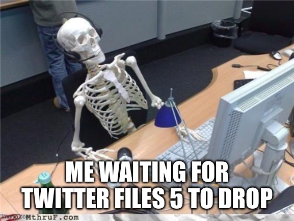 Waiting skeleton | ME WAITING FOR TWITTER FILES 5 TO DROP | image tagged in waiting skeleton,twitter,twitter files 5,bari weiss,elon musk | made w/ Imgflip meme maker
