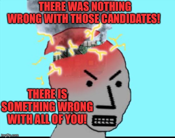 NPC Meltdown | THERE IS SOMETHING WRONG WITH ALL OF YOU! THERE WAS NOTHING WRONG WITH THOSE CANDIDATES! | image tagged in npc meltdown | made w/ Imgflip meme maker