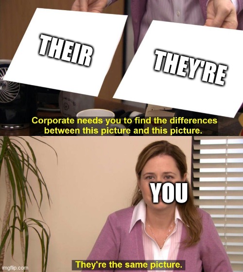 They are the same picture | THEIR THEY'RE YOU | image tagged in they are the same picture | made w/ Imgflip meme maker
