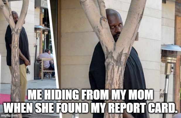Shaq hiding | ME HIDING FROM MY MOM WHEN SHE FOUND MY REPORT CARD. | image tagged in shaq hiding | made w/ Imgflip meme maker