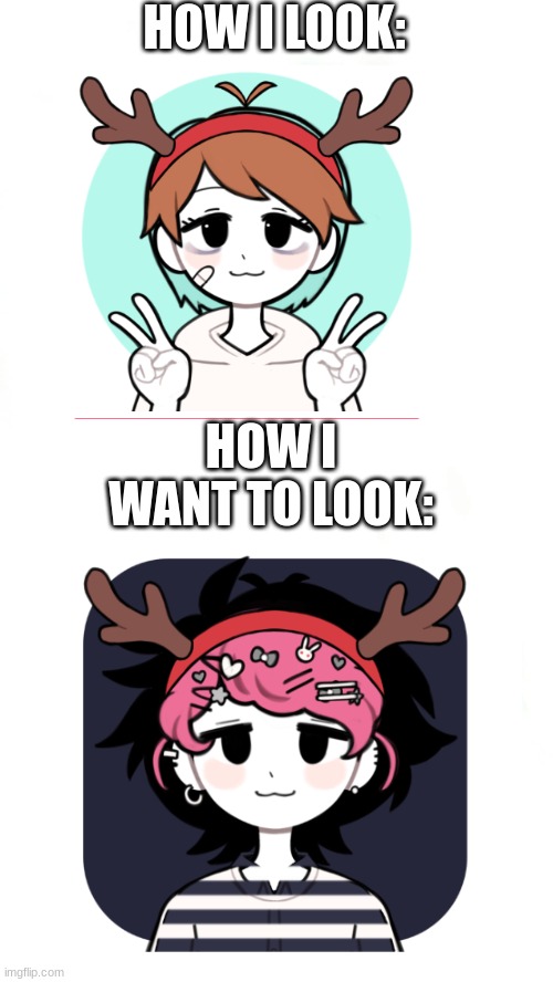 :) | HOW I LOOK:; HOW I WANT TO LOOK: | image tagged in white long | made w/ Imgflip meme maker