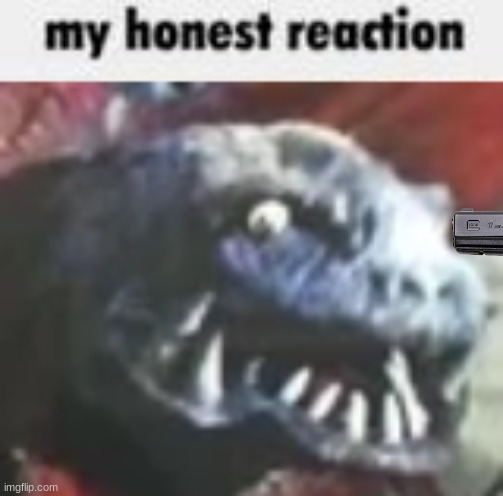 gabora's honest reaction | image tagged in gabora's honest reaction | made w/ Imgflip meme maker