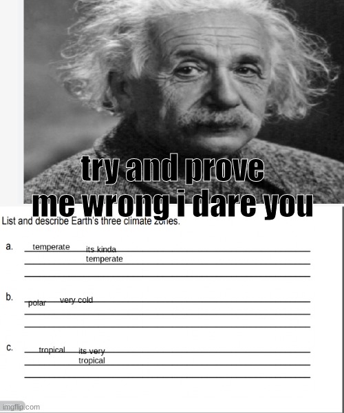 Im not wrong |  try and prove me wrong i dare you | image tagged in memes,funny,imgflip,albert einstein,can't argue with that / technically not wrong | made w/ Imgflip meme maker