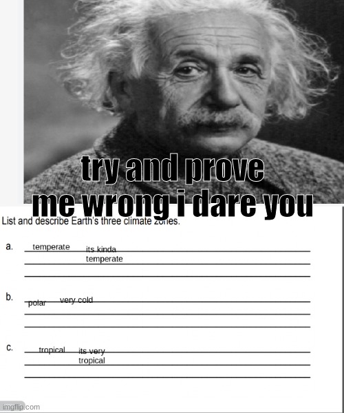 Im not wrong | try and prove me wrong i dare you | image tagged in memes,funny,imgflip,albert einstein,can't argue with that / technically not wrong | made w/ Imgflip meme maker