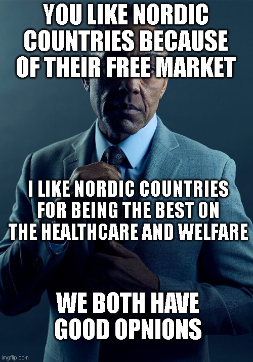 We Both Have Good Opnions | YOU LIKE NORDIC COUNTRIES BECAUSE OF THEIR FREE MARKET; I LIKE NORDIC COUNTRIES FOR BEING THE BEST ON THE HEALTHCARE AND WELFARE; WE BOTH HAVE GOOD OPNIONS | image tagged in gus fring we are not the same | made w/ Imgflip meme maker