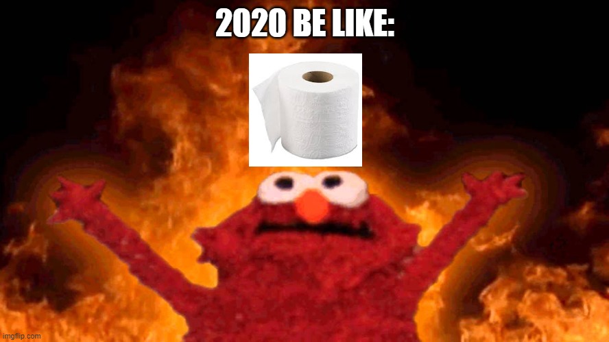 TOILET PAPER | 2020 BE LIKE: | image tagged in elmo fire | made w/ Imgflip meme maker