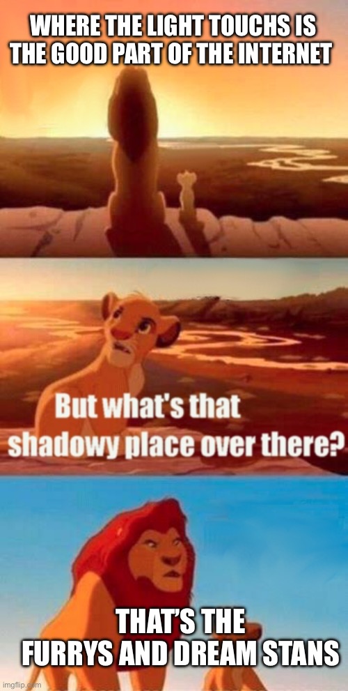 Simba Shadowy Place | WHERE THE LIGHT TOUCHS IS THE GOOD PART OF THE INTERNET; THAT’S THE FURRYS AND DREAM STANS | image tagged in memes,simba shadowy place | made w/ Imgflip meme maker