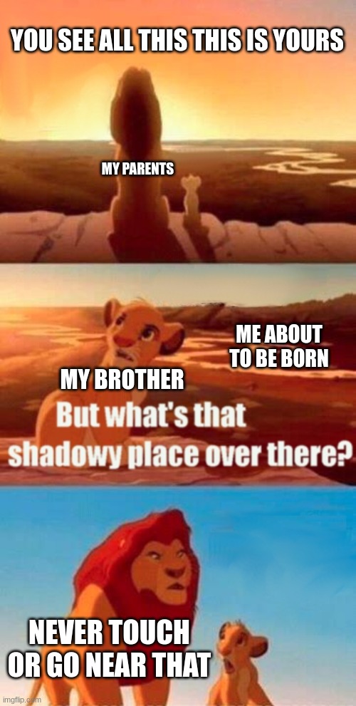 me | YOU SEE ALL THIS THIS IS YOURS; MY PARENTS; ME ABOUT TO BE BORN; MY BROTHER; NEVER TOUCH OR GO NEAR THAT | image tagged in memes,simba shadowy place | made w/ Imgflip meme maker