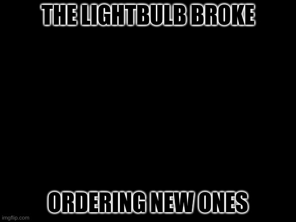 our lights broke! oh no. | THE LIGHTBULB BROKE; ORDERING NEW ONES | image tagged in lightbulb | made w/ Imgflip meme maker