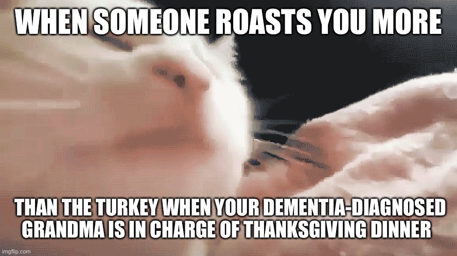 That’s how you know they got skills | WHEN SOMEONE ROASTS YOU MORE; THAN THE TURKEY WHEN YOUR DEMENTIA-DIAGNOSED GRANDMA IS IN CHARGE OF THANKSGIVING DINNER | image tagged in cat just vibing,roast turkey,roast | made w/ Imgflip meme maker