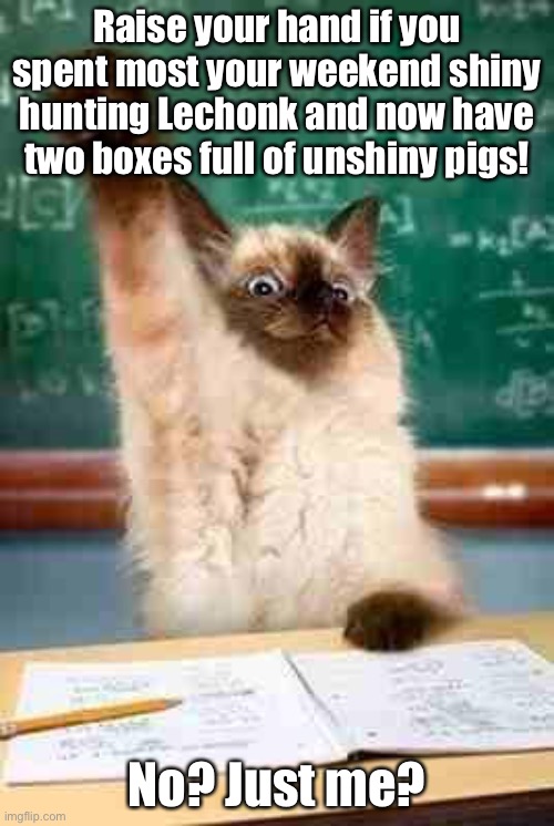 Image title | Raise your hand if you spent most your weekend shiny hunting Lechonk and now have two boxes full of unshiny pigs! No? Just me? | image tagged in image tags | made w/ Imgflip meme maker