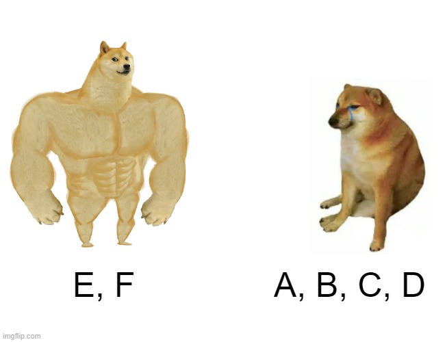 Buff Doge vs. Cheems Meme | E, F; A, B, C, D | image tagged in memes,buff doge vs cheems | made w/ Imgflip meme maker