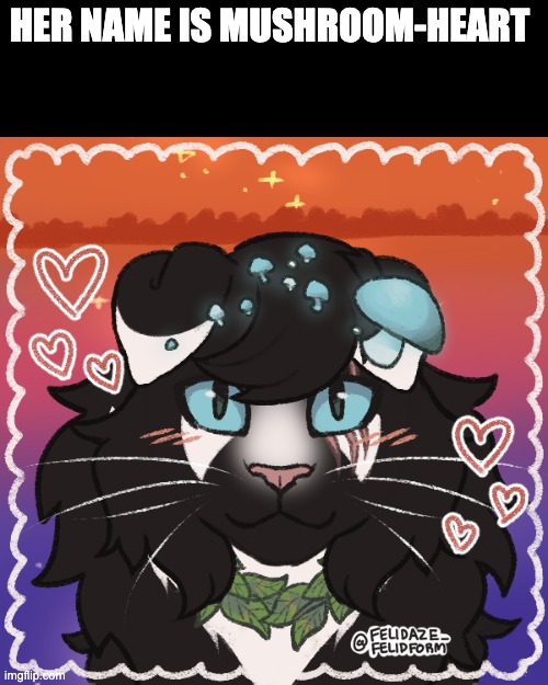 Mushroom-heart DO NOT STEAL | HER NAME IS MUSHROOM-HEART | image tagged in oc,warrior cats,cats,furry | made w/ Imgflip meme maker