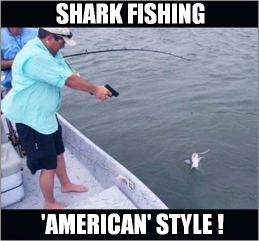 Essential Tackle For America ? | SHARK FISHING; 'AMERICAN' STYLE ! | image tagged in fishing,sharks,guns,america,dark humour | made w/ Imgflip meme maker