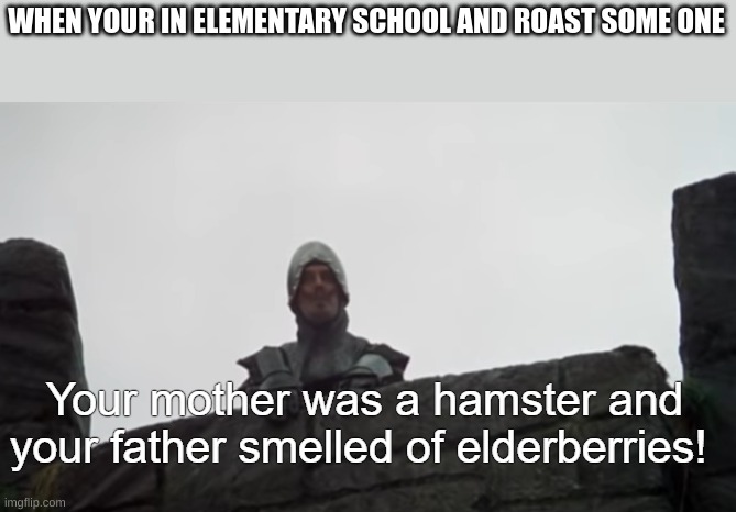 Your mother was a hamster | WHEN YOUR IN ELEMENTARY SCHOOL AND ROAST SOME ONE | image tagged in your mother was a hamster | made w/ Imgflip meme maker