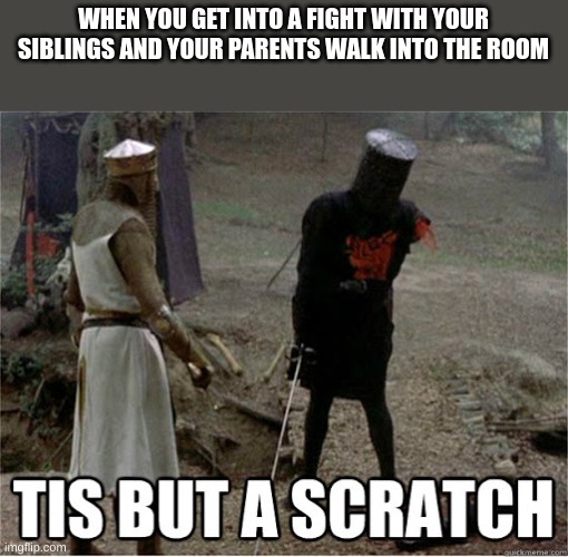 tis but a scratch | WHEN YOU GET INTO A FIGHT WITH YOUR SIBLINGS AND YOUR PARENTS WALK INTO THE ROOM | image tagged in tis but a scratch | made w/ Imgflip meme maker