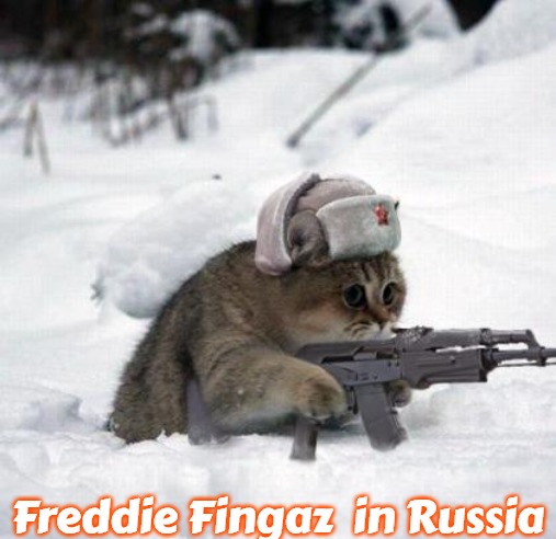 Cute Sad Soviet War Kitten | Freddie Fingaz  in Russia | image tagged in cute sad soviet war kitten,slavic,freddie fingaz,russia | made w/ Imgflip meme maker