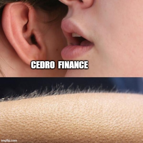 Cedro Finance 2 | CEDRO  FINANCE | image tagged in whisper and goosebumps | made w/ Imgflip meme maker