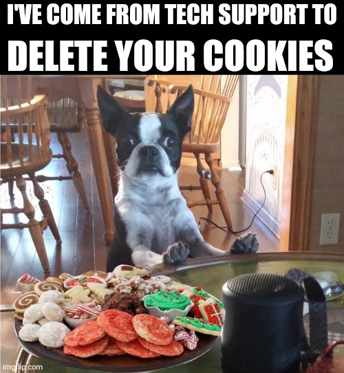 Tech support | DELETE YOUR COOKIES; I'VE COME FROM TECH SUPPORT TO | image tagged in boston terrier | made w/ Imgflip meme maker