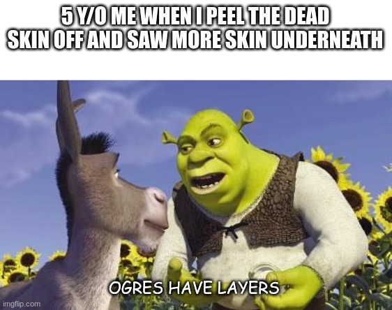 maybe i am an onion | 5 Y/O ME WHEN I PEEL THE DEAD SKIN OFF AND SAW MORE SKIN UNDERNEATH; OGRES HAVE LAYERS | image tagged in shrek layers | made w/ Imgflip meme maker