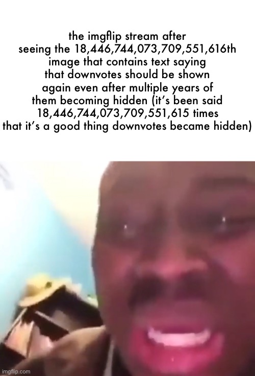 the imgflip stream after seeing the 18,446,744,073,709,551,616th image that contains text saying that downvotes should be shown again even a | made w/ Imgflip meme maker