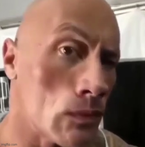 The rock | image tagged in the rock | made w/ Imgflip meme maker
