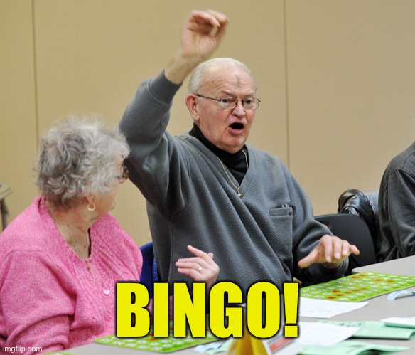 Bingo | BINGO! | image tagged in bingo | made w/ Imgflip meme maker