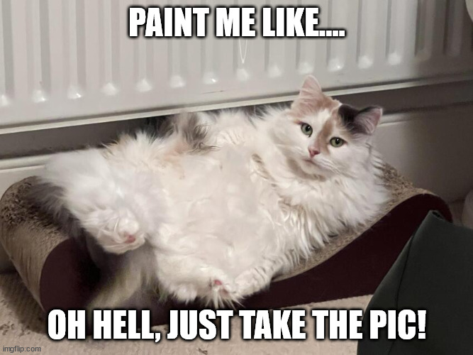 Paint me like... | PAINT ME LIKE.... OH HELL, JUST TAKE THE PIC! | image tagged in cat,cute cat,funny cats,the most interesting cat in the world | made w/ Imgflip meme maker