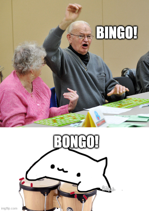 BINGO! BONGO! | image tagged in bingo,bongo cat | made w/ Imgflip meme maker