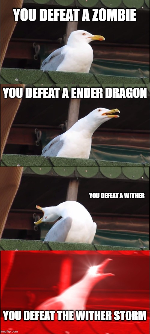 Inhaling Seagull Meme | YOU DEFEAT A ZOMBIE; YOU DEFEAT A ENDER DRAGON; YOU DEFEAT A WITHER; YOU DEFEAT THE WITHER STORM | image tagged in memes,inhaling seagull | made w/ Imgflip meme maker