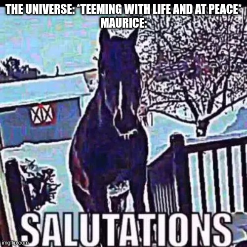 salutations | THE UNIVERSE: *TEEMING WITH LIFE AND AT PEACE*
MAURICE: | image tagged in salutations | made w/ Imgflip meme maker