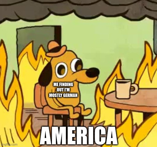*COugh* | ME FINDING OUT I'M MOSTLY GERMAN; AMERICA | image tagged in its fine | made w/ Imgflip meme maker
