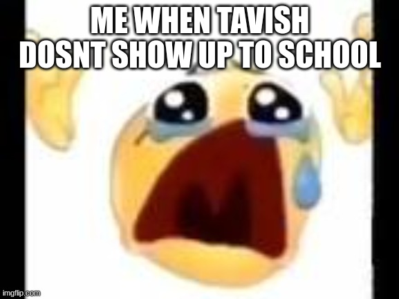 ME WHEN TAVISH DOSNT SHOW UP TO SCHOOL | image tagged in sad | made w/ Imgflip meme maker