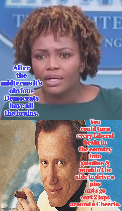 Liberal Brains | You could turn every Liberal brain in the country into gasoline & wouldn't be able to drive a 
piss ant's go cart 2 laps around a Cheerio. After the midterms it's obvious Democrats have all the brains. | image tagged in james,woods | made w/ Imgflip meme maker