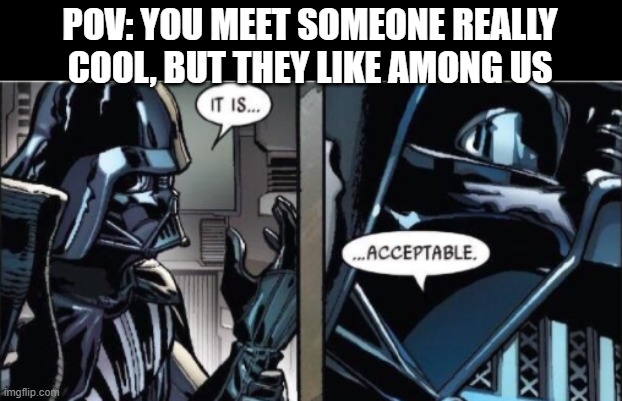 yeah | POV: YOU MEET SOMEONE REALLY COOL, BUT THEY LIKE AMONG US | image tagged in it is acceptable,among us,amogus not funny,end among us,friends | made w/ Imgflip meme maker