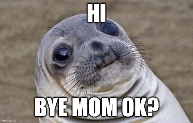 Awkward Moment Sealion |  HI; BYE MOM OK? | image tagged in memes,awkward moment sealion | made w/ Imgflip meme maker