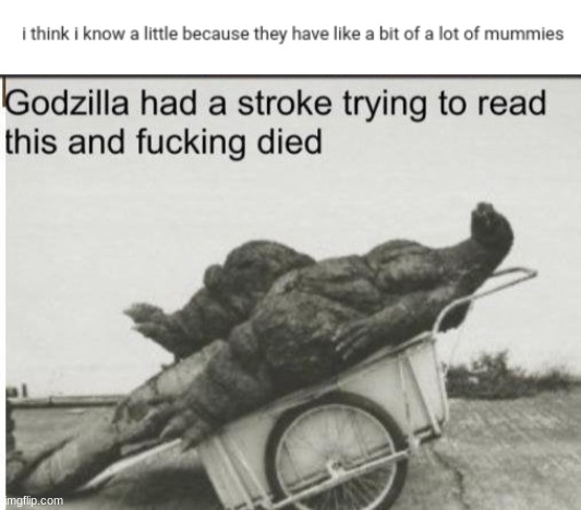 This is 6th grade tbh. | image tagged in godzilla,godzilla had a stroke trying to read this and fricking died | made w/ Imgflip meme maker