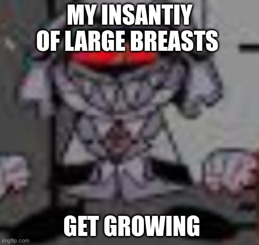 phobos?!?!? | MY INSANTIY OF LARGE BREASTS; GET GROWING | image tagged in phobos | made w/ Imgflip meme maker
