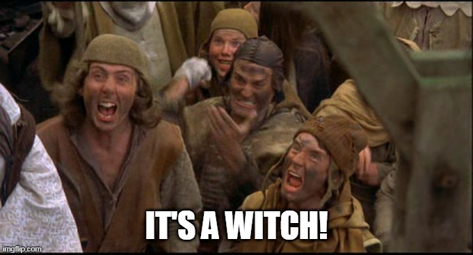 Monty Python witch | IT'S A WITCH! | image tagged in monty python witch | made w/ Imgflip meme maker