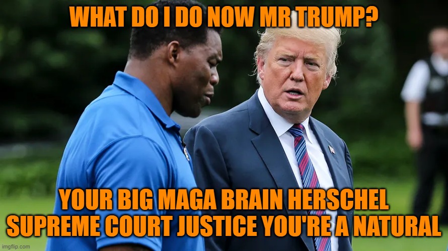 Herschel Walker Trump | WHAT DO I DO NOW MR TRUMP? YOUR BIG MAGA BRAIN HERSCHEL SUPREME COURT JUSTICE YOU'RE A NATURAL | image tagged in herschel walker trump | made w/ Imgflip meme maker